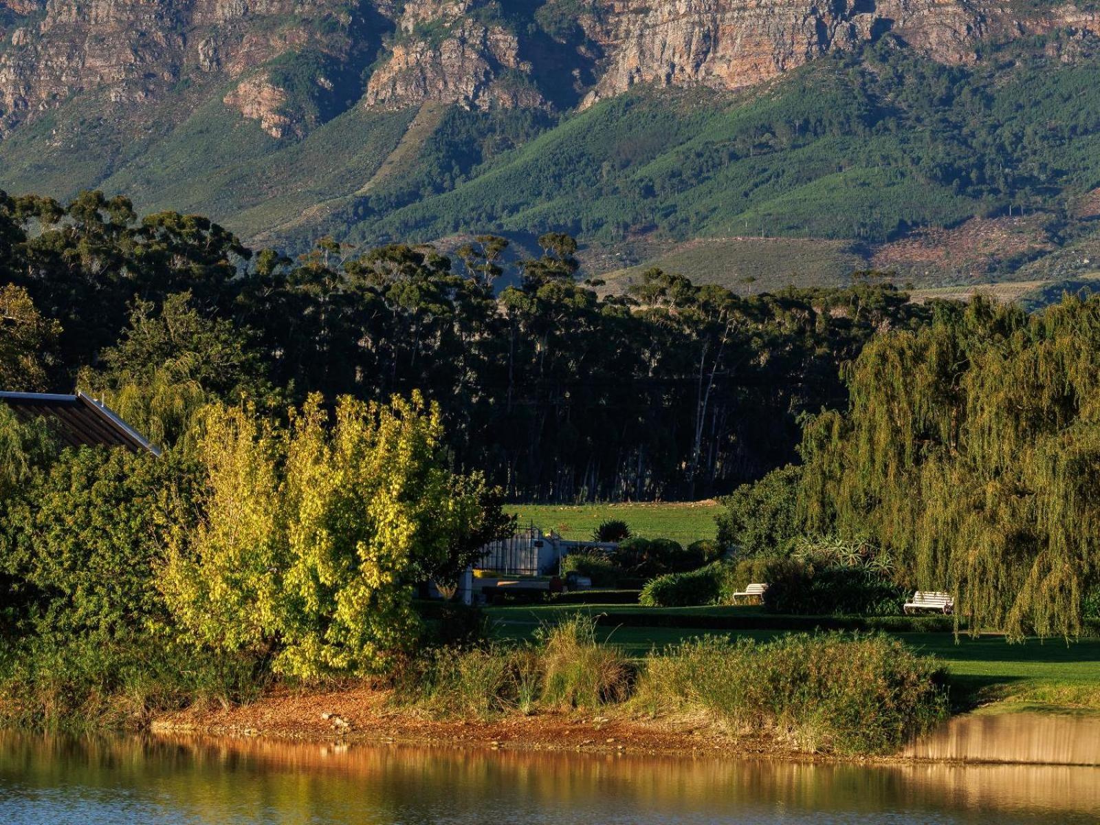 Dawn Mountains Farm Apartment Simondium Exterior foto